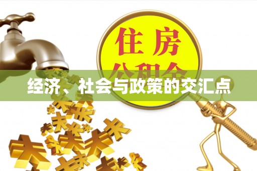 常平经济、社会与政策的交汇点