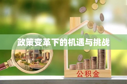 常平政策变革下的机遇与挑战