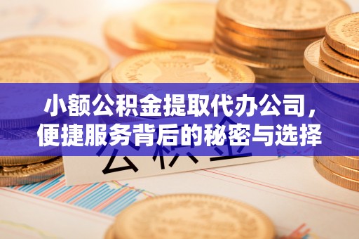 常平小额公积金提取代办公司，便捷服务背后的秘密与选择指南