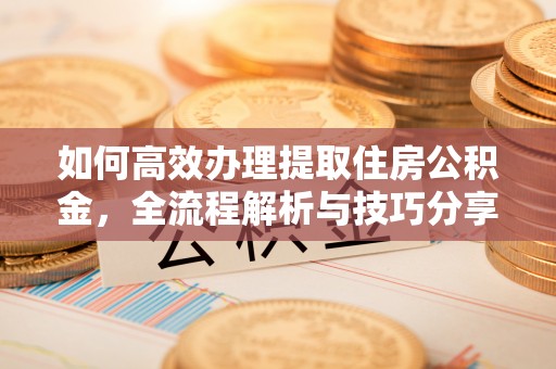 常平如何高效办理提取住房公积金，全流程解析与技巧分享