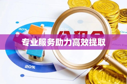 常平专业服务助力高效提取