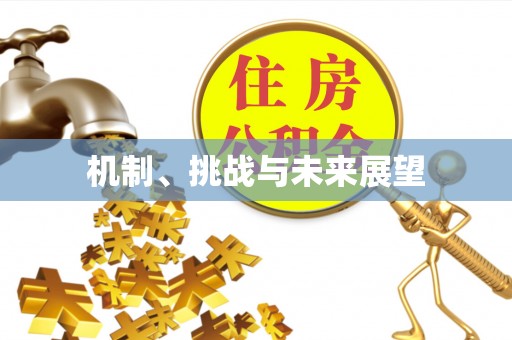 常平机制、挑战与未来展望
